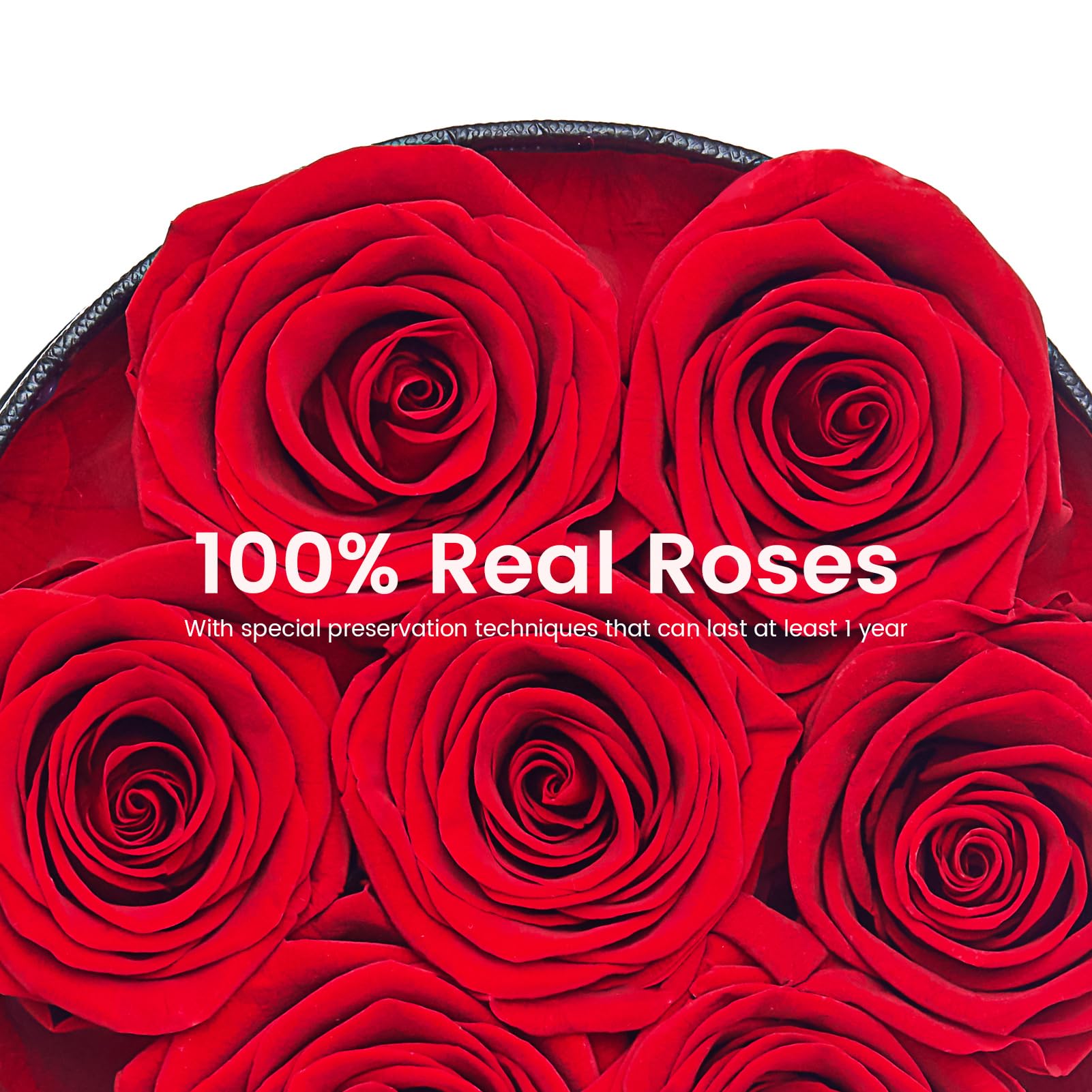 Beaulasting Long-Lasting Preserved Roses in Elegant Black Round Box - 1 Year Freshness, Perfect Gift for Anniversary, Birthday, Mother's Day, Valentine's Day - Romantic Home & Office Decor for Wife, Mom, Girlfriend