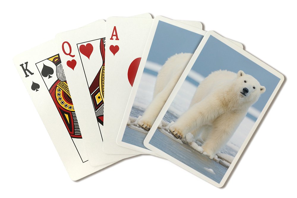 Polar Bear on Ice Float Playing Cards - 52 Poker Size Deck with Jokers - Perfect for Game Nights, Magic Tricks & Collectors