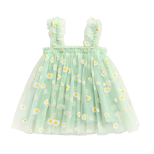 Green Daisy