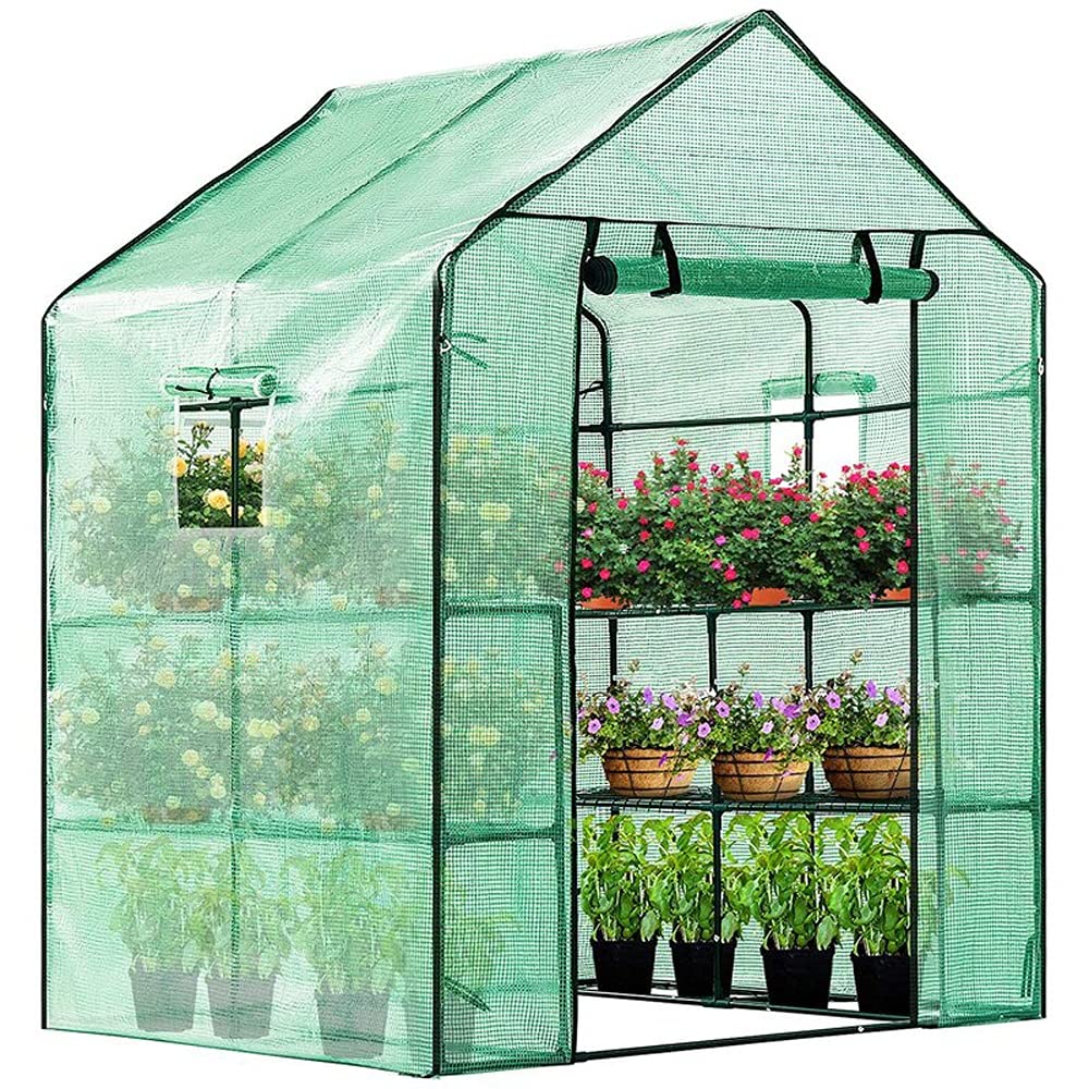 Reinforced Walk-in Greenhouse with PE Cover - 2 Tier 8 Shelf Outdoor Plant Gardening Greenhouse with Observation Windows (56