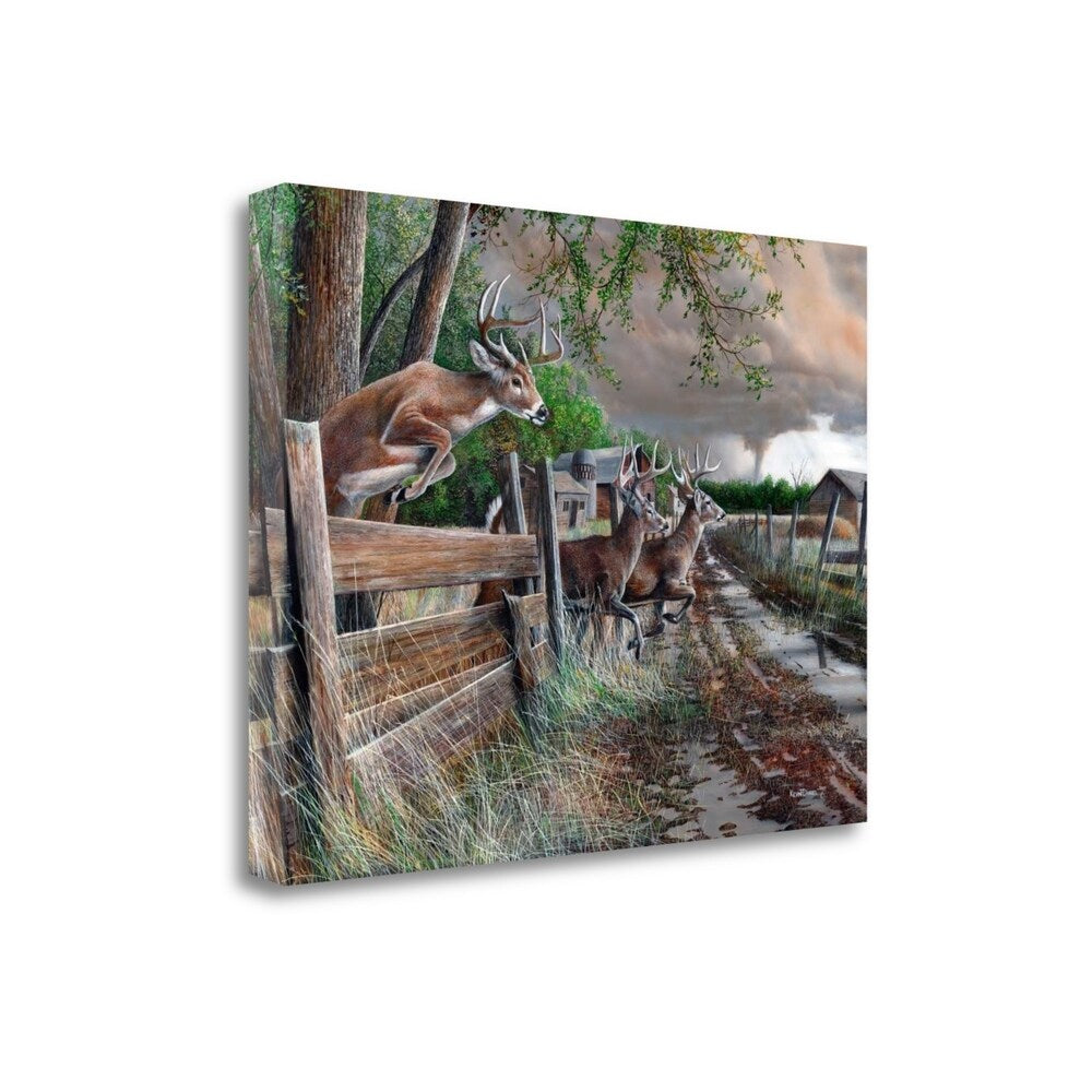 Abandon Farm By Kevin Daniel - Fine Art Giclee Print on Gallery Wrap Canvas, Ready to Hang Wall Decor - Perfect for Living Room, Bedroom & Office