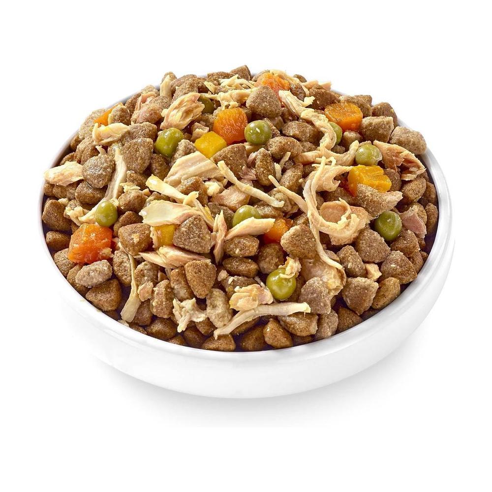Premium Chicken Breast with Salmon, Pumpkin, Carrots & Peas Broth Dog Food Toppers - Grain-Free Wet Dog Food for Small & Large Breeds - Perfect for Picky Eaters & Mealtime Enhancement