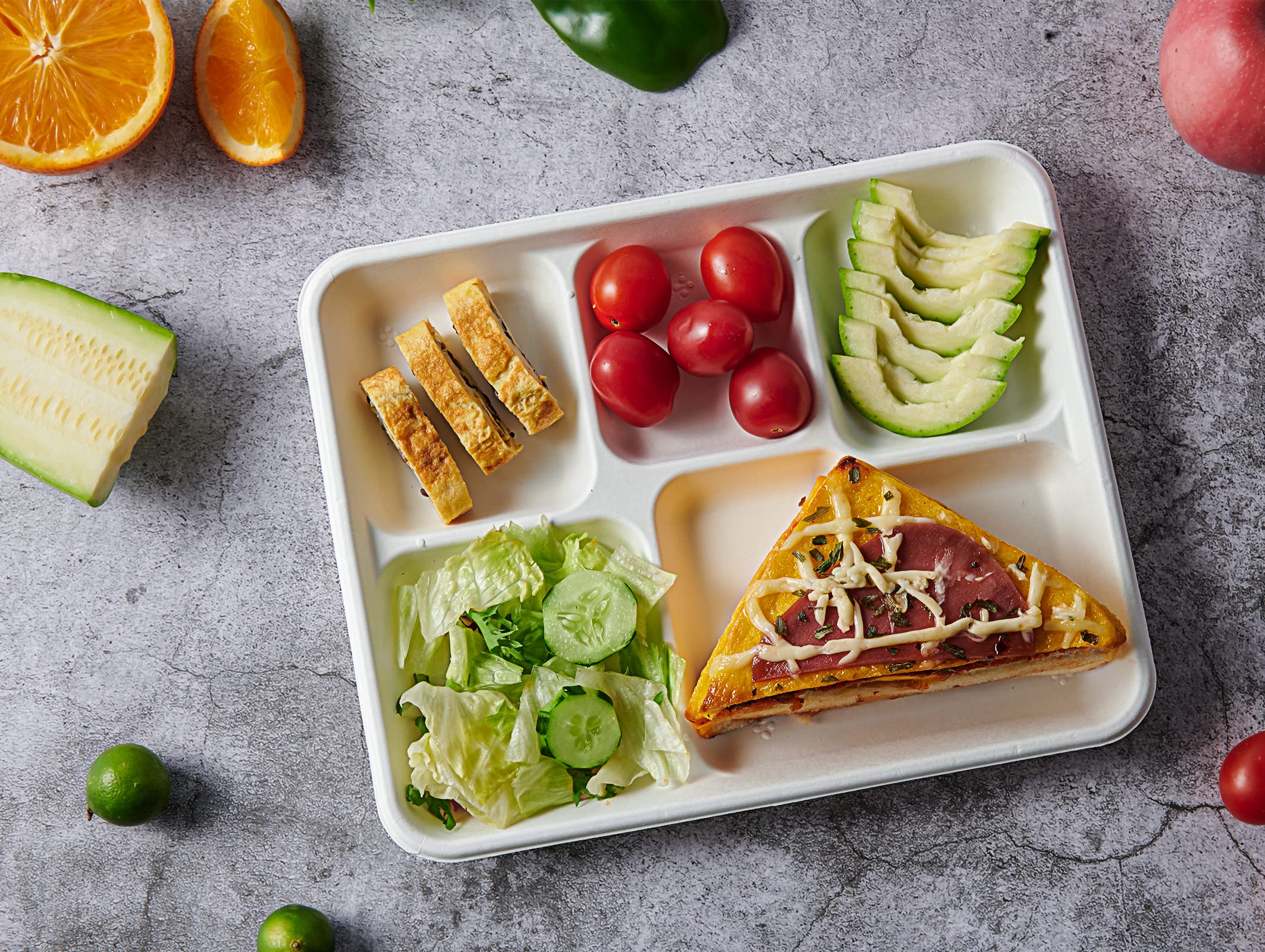 Vplus 500 Pack 5-Compartment Biodegradable Paper Plates - 10.25x8.5 Inch Eco-Friendly Disposable Lunch Trays for School, Party & Buffet - Made from Sustainable Bagasse Fiber - Perfect for Kids Meals, Picnics & Catering Events