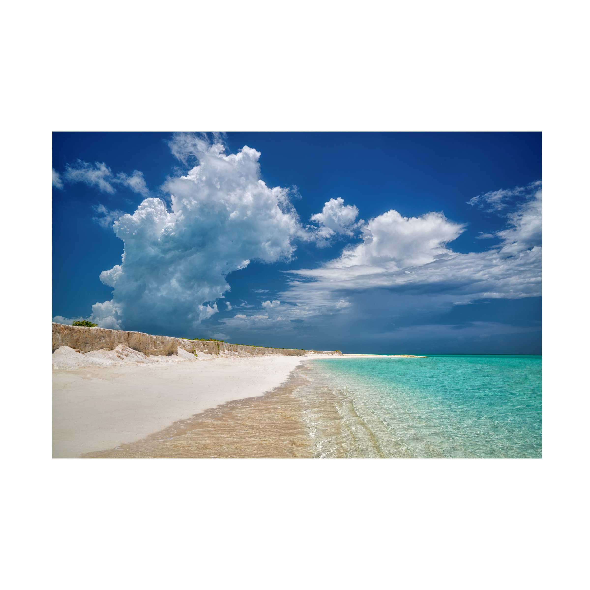 Trademark Fine Art 'White Chalk Cliffs' Canvas Wall Art by Dennis Frates - Stunning Coastal Landscape Painting for Living Room, Bedroom & Office Decor