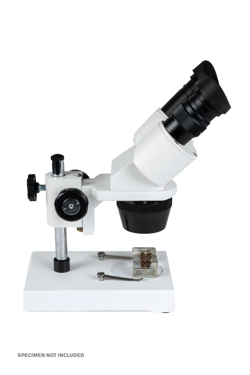 Celestron Labs S1030N Stereo Microscope 20x-40x Magnification for Kids & Adults - Perfect for Coin Collecting, Jewelry Inspection & Science Education