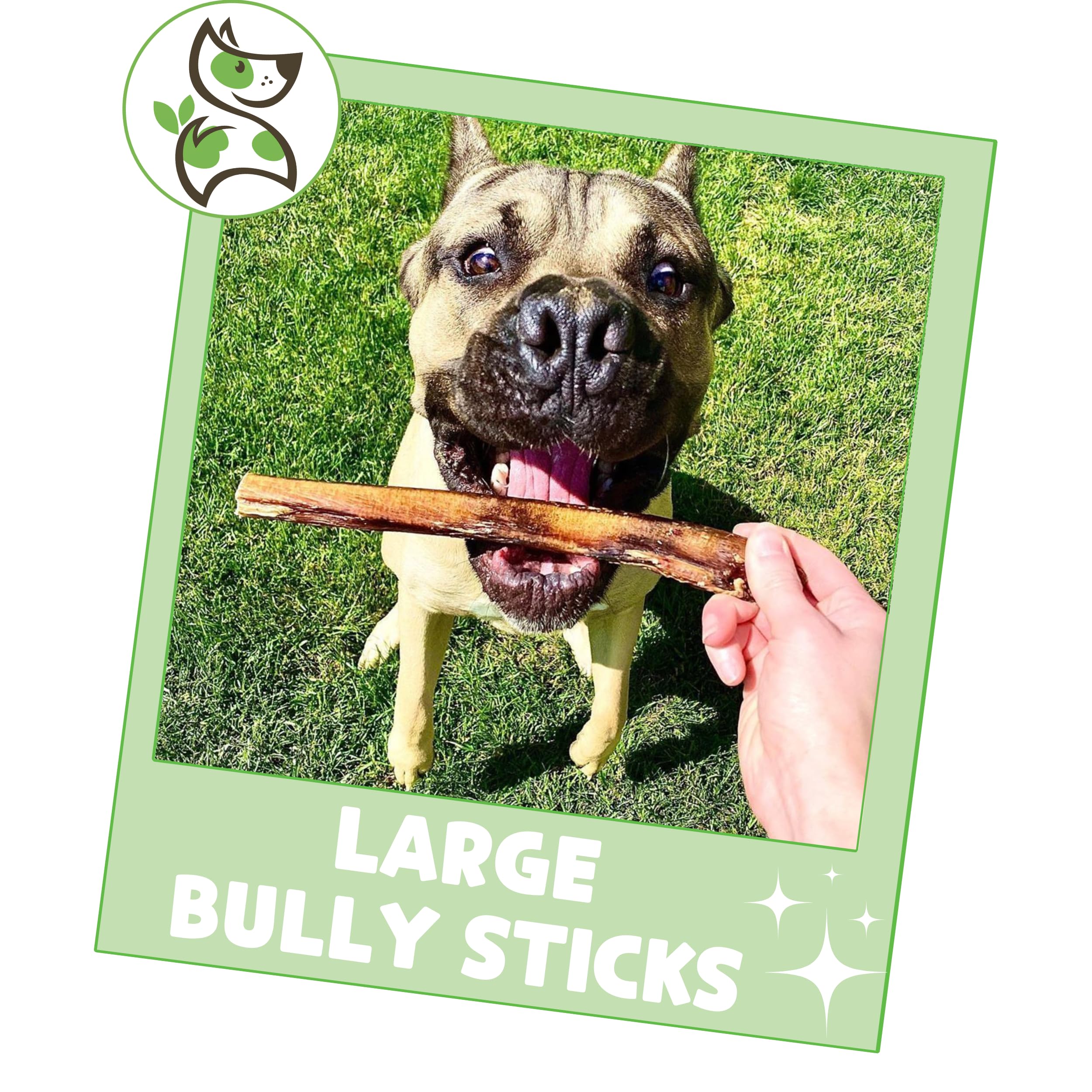 Nature Gnaws Large Bully Sticks for Dogs 5-6