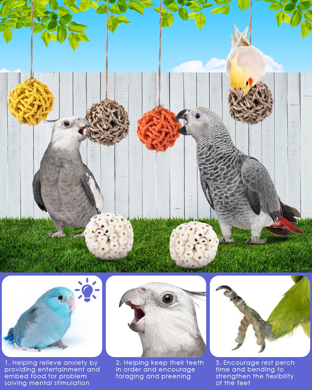 6PCS Small Parrot Chew Toys - Colorful Sola Balls Bird Foraging Toys for Cockatiels, Conures, Cockatoos, Parakeets & Lovebirds | Cage Biting & Chewing Enrichment | Perfect for Mental Stimulation & Beak Exercise