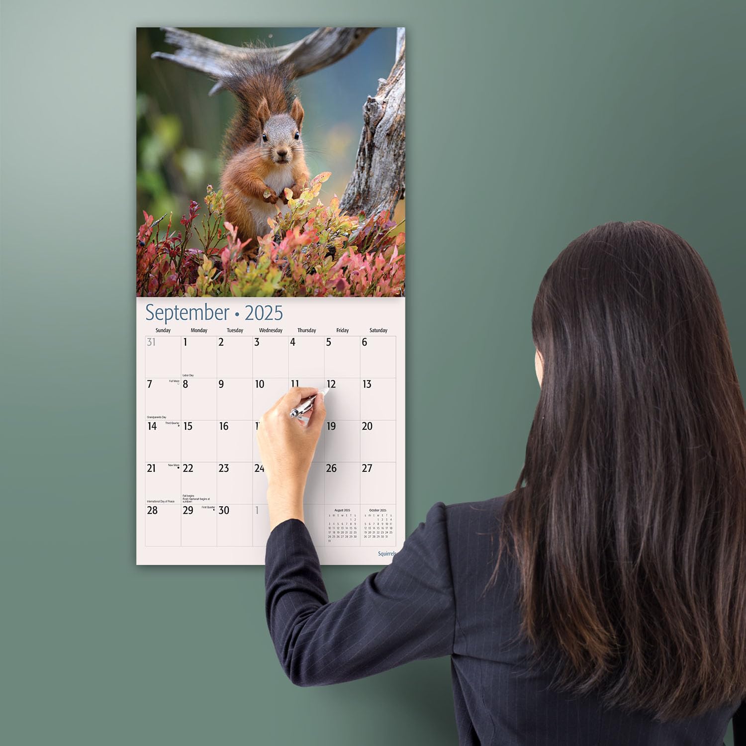 MICASA Squirrels 2025 Wall Calendar - 12 Month Large (12x24 Inches) with Thick Sturdy Paper | Perfect Home & Office Decor | Great Gift Idea for Nature Lovers | Use for Planning, School, or Work Schedules