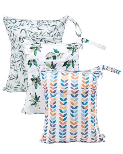 willow and eucalyptus leaves