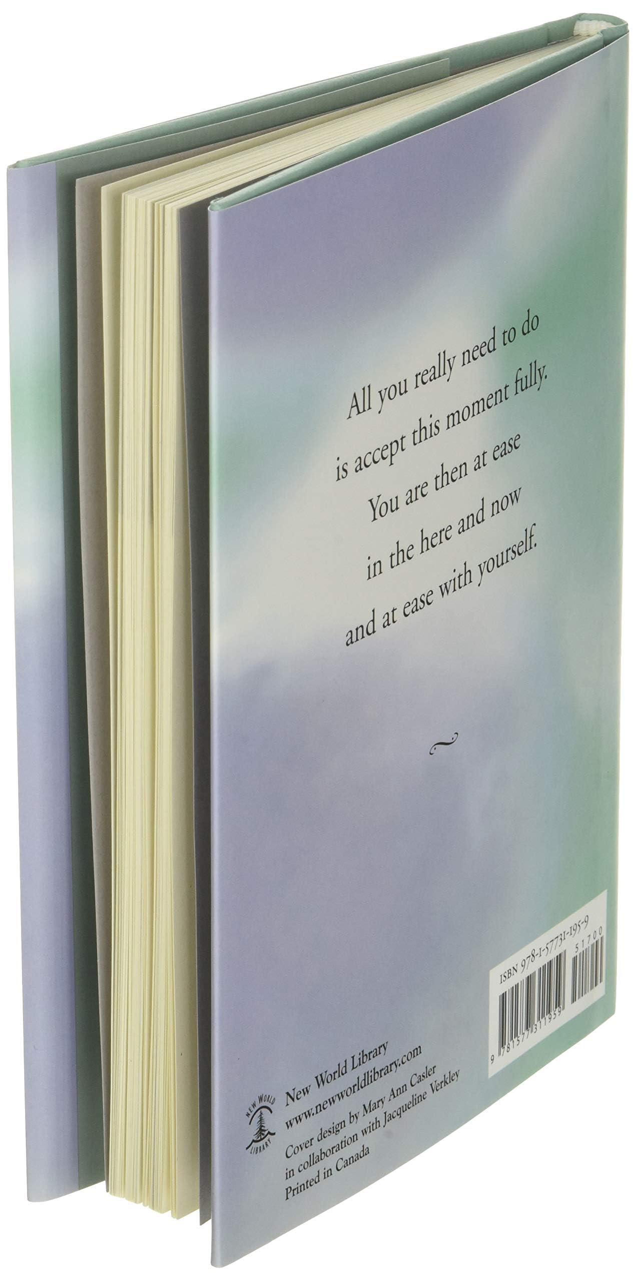 Practicing the Power of Now: Essential Teachings, Meditations & Exercises for Mindfulness & Spiritual Growth - Perfect for Daily Meditation, Stress Relief & Personal Transformation