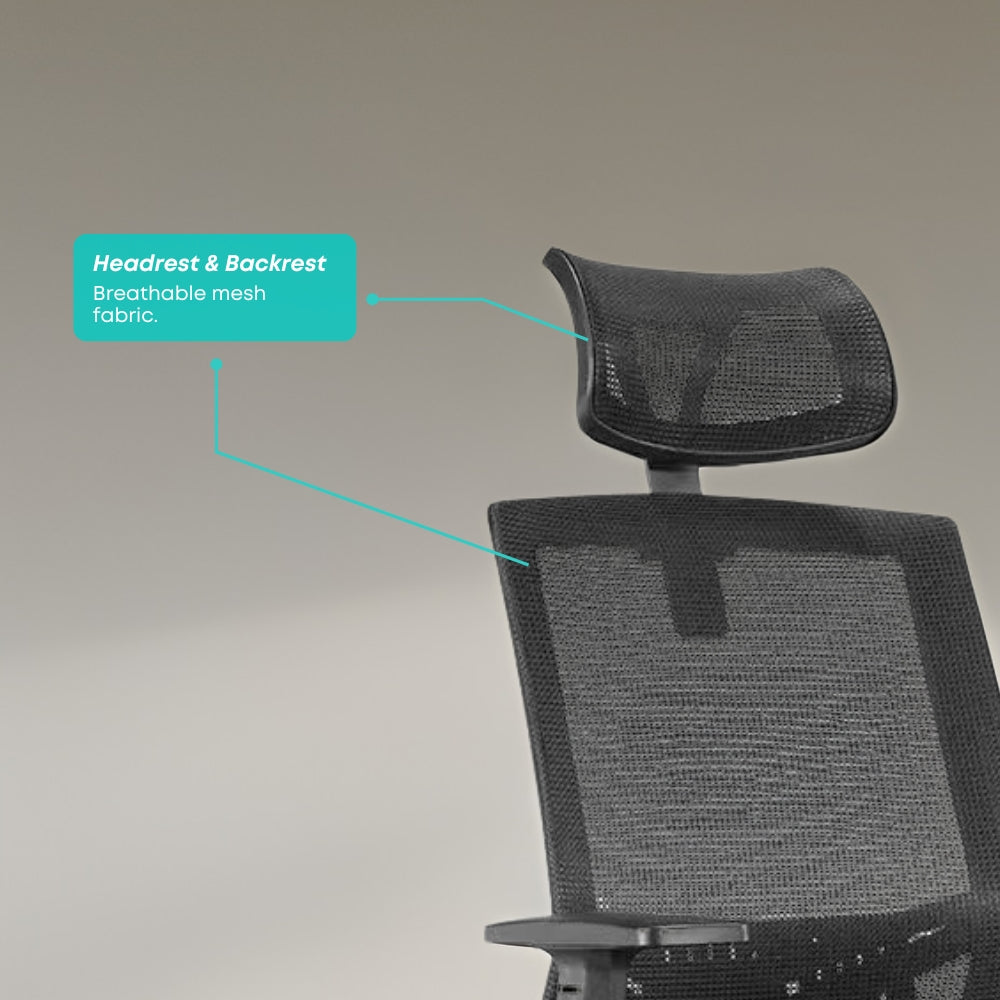 Ergonomic Zen Highback Office Chair - Adjustable Lumbar Support & Breathable Mesh Back for Home & Office Workspaces - Perfect for Long Hours of Sitting & Productivity