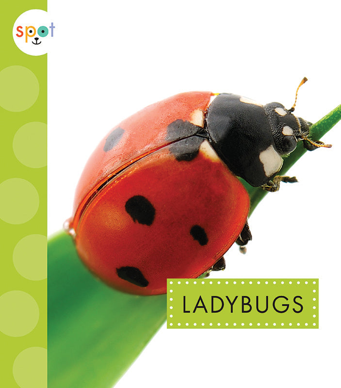 Beneficial Ladybugs for Natural Pest Control - Organic Garden & Greenhouse Use - Live Ladybugs for Aphid & Pest Management