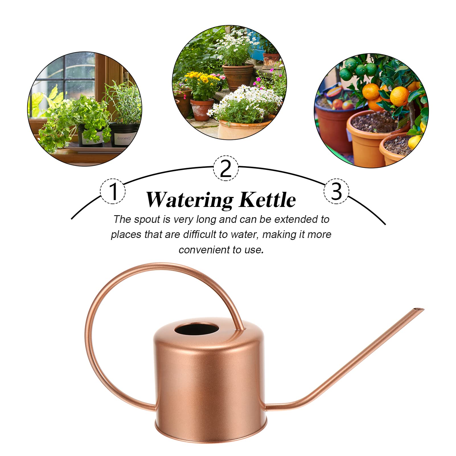 Hemoton Stainless Steel Watering Can - 1 Gallon Garden Watering Pot with Long Spout for Indoor & Outdoor Plants, Flowers, and Herbs - Perfect for Home, Office, and Greenhouse Use