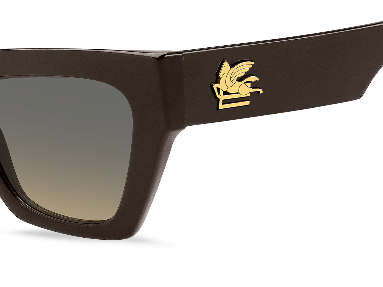 Etro 0050 S Sunglasses - Polarized UV Protection for Men & Women - Perfect for Driving, Outdoor Sports & Fashion Accessories