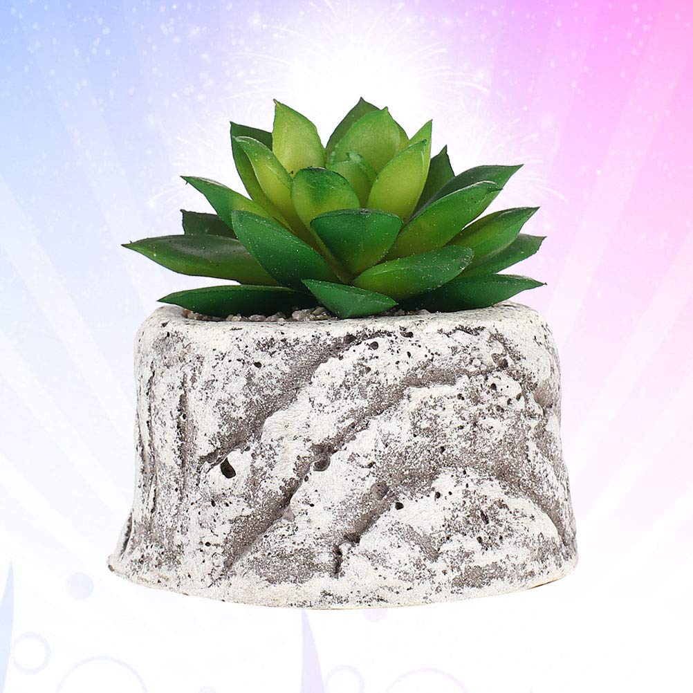 VICASKY Decorative Succulent Plant Pots - Ceramic Flower Pots for Cactus, Aloe Vera, Small Plants - Perfect for Home, Office, Garden Decor and Gift Ideas