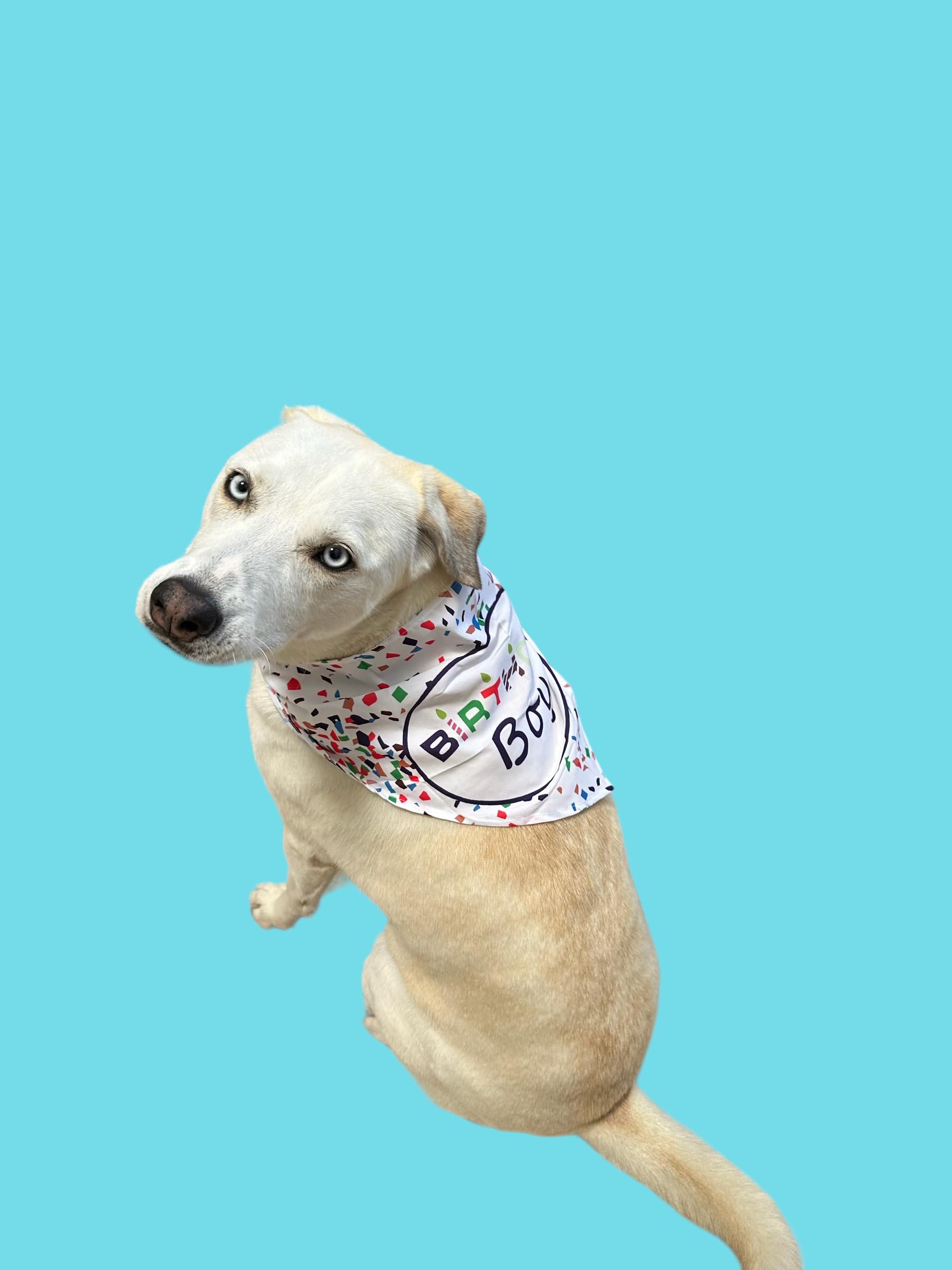 Dog Birthday Bandana for Birthday Boy - Cute Pet Bandana for Birthday Parties & Celebrations