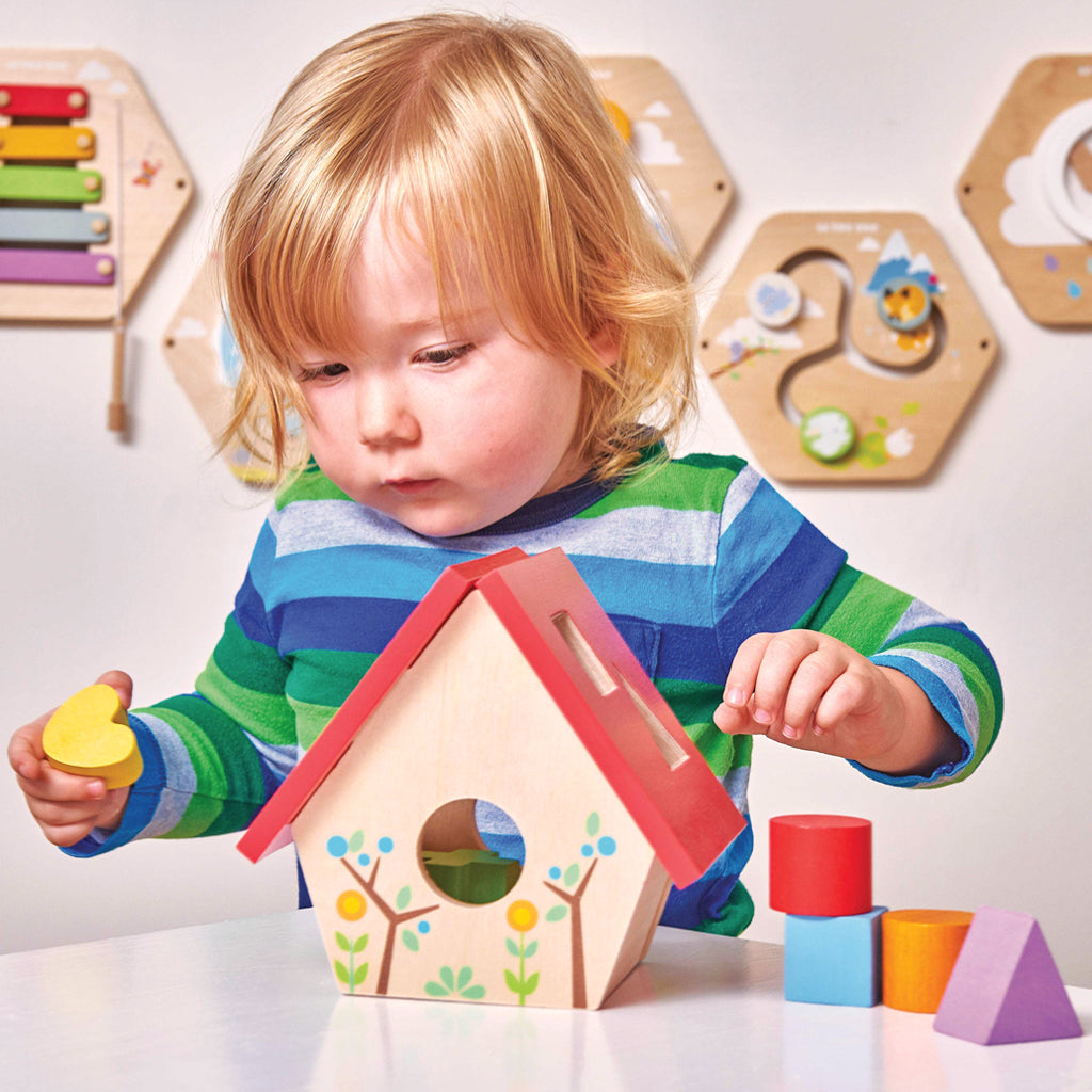 My Little Bird House Wooden Shape Sorter Toy - Educational Montessori Learning Activity for Toddlers & Kids - Perfect for Preschool Classroom, Daycare, and Home Playtime