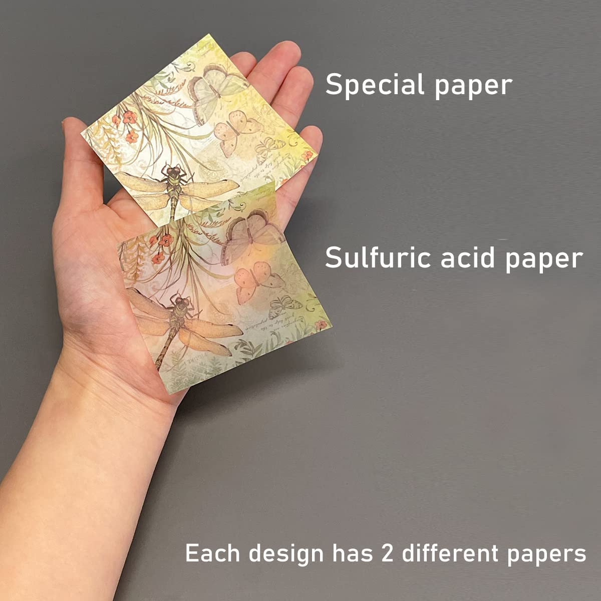 Allydrew Decorative Scrapbook Paper Set - 2 Pack Butterfly & Floral Design for Journaling, Scrapbooking, Card Making, DIY Crafts - Perfect for Memory Books, Gift Wrapping & Home Decor Projects