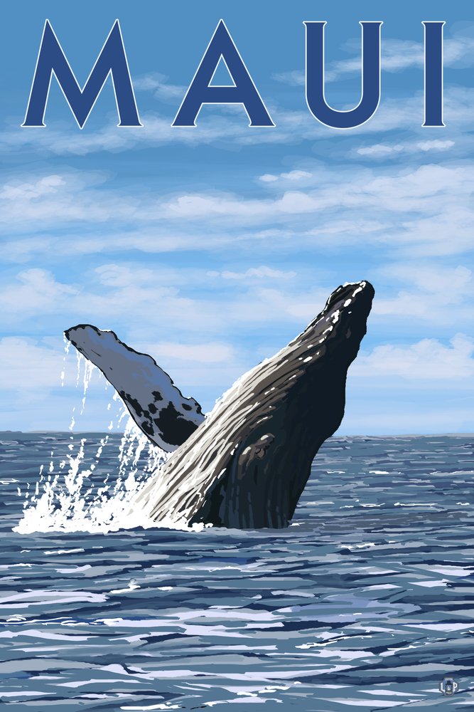 Lantern Press Maui Hawaii Humpback Whale Wrapped Canvas Wall Art - 16x24 Inches Ocean Themed Home Decor for Living Room, Bedroom & Office