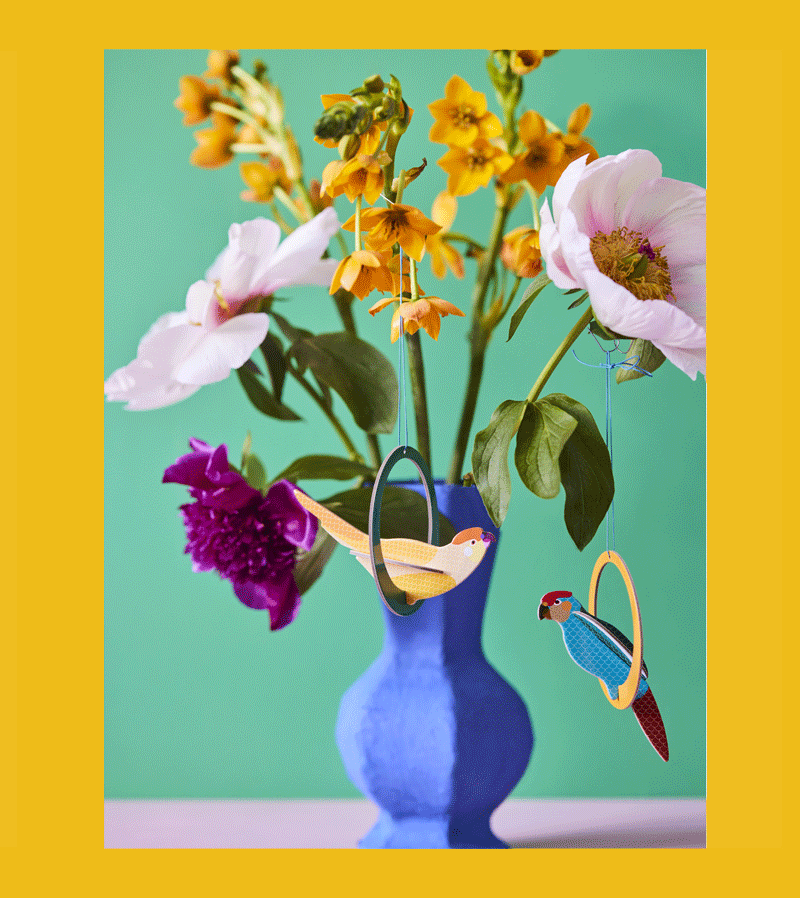 3D Pop Out Parakeet Greeting Card - Handmade Bird Design for Birthdays, Anniversaries & Special Occasions | Perfect Gift for Bird Lovers by Studio ROOF