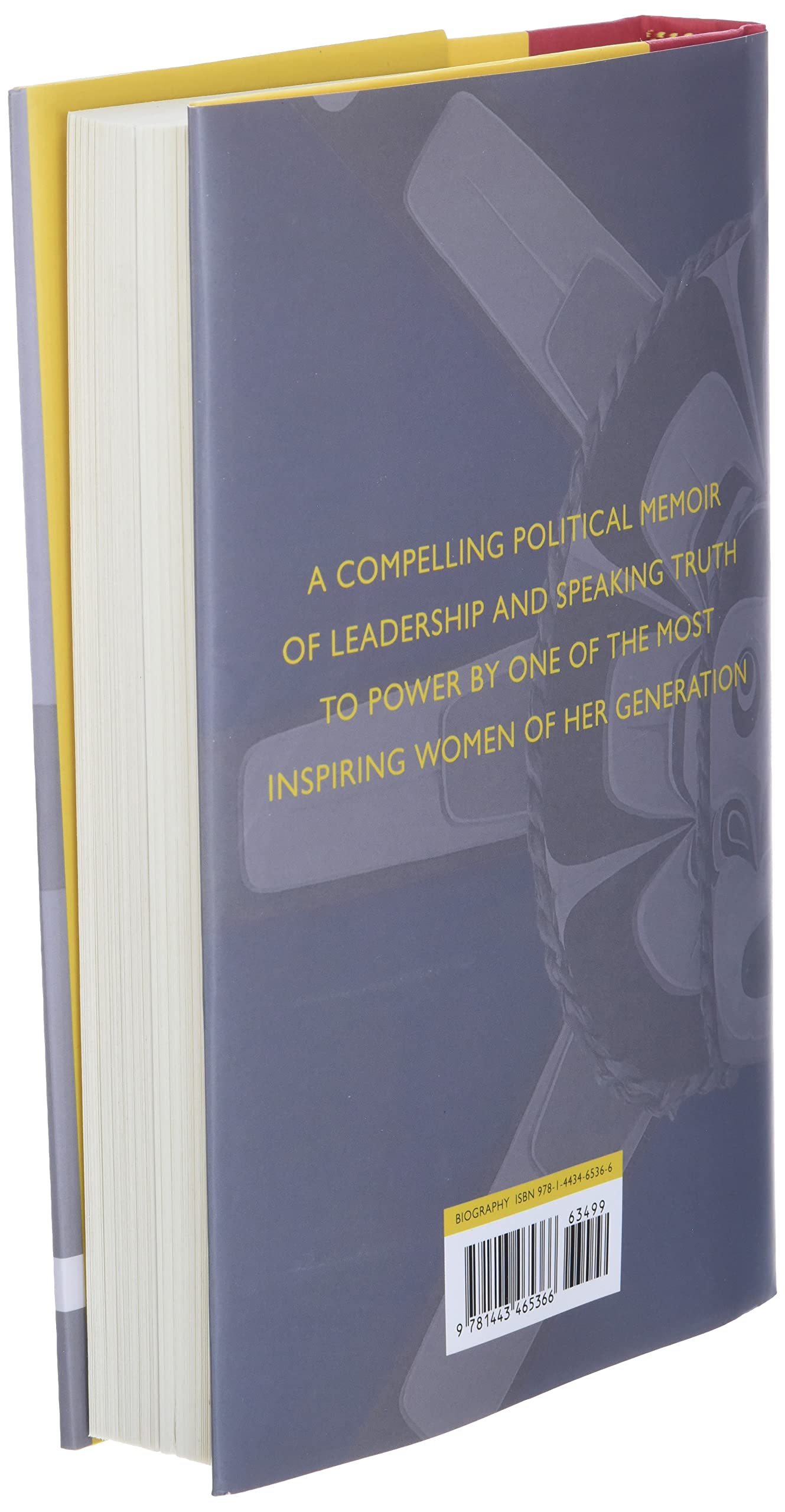 Indian in the Cabinet: Speaking Truth to Power - Political Memoir & Leadership Insights for Government Officials and Activists