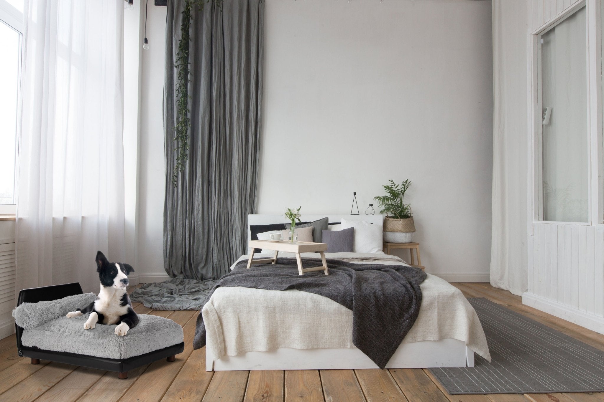 Club Nine Pets Lido Orthopedic Dog Bed - Grey Memory Foam Pet Bed for Large Dogs, Supportive & Comfortable - Perfect for Arthritis, Joint Pain & Senior Dogs - Ideal for Living Room, Bedroom or Crate Use