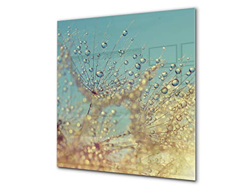 Dandelion Drops 4