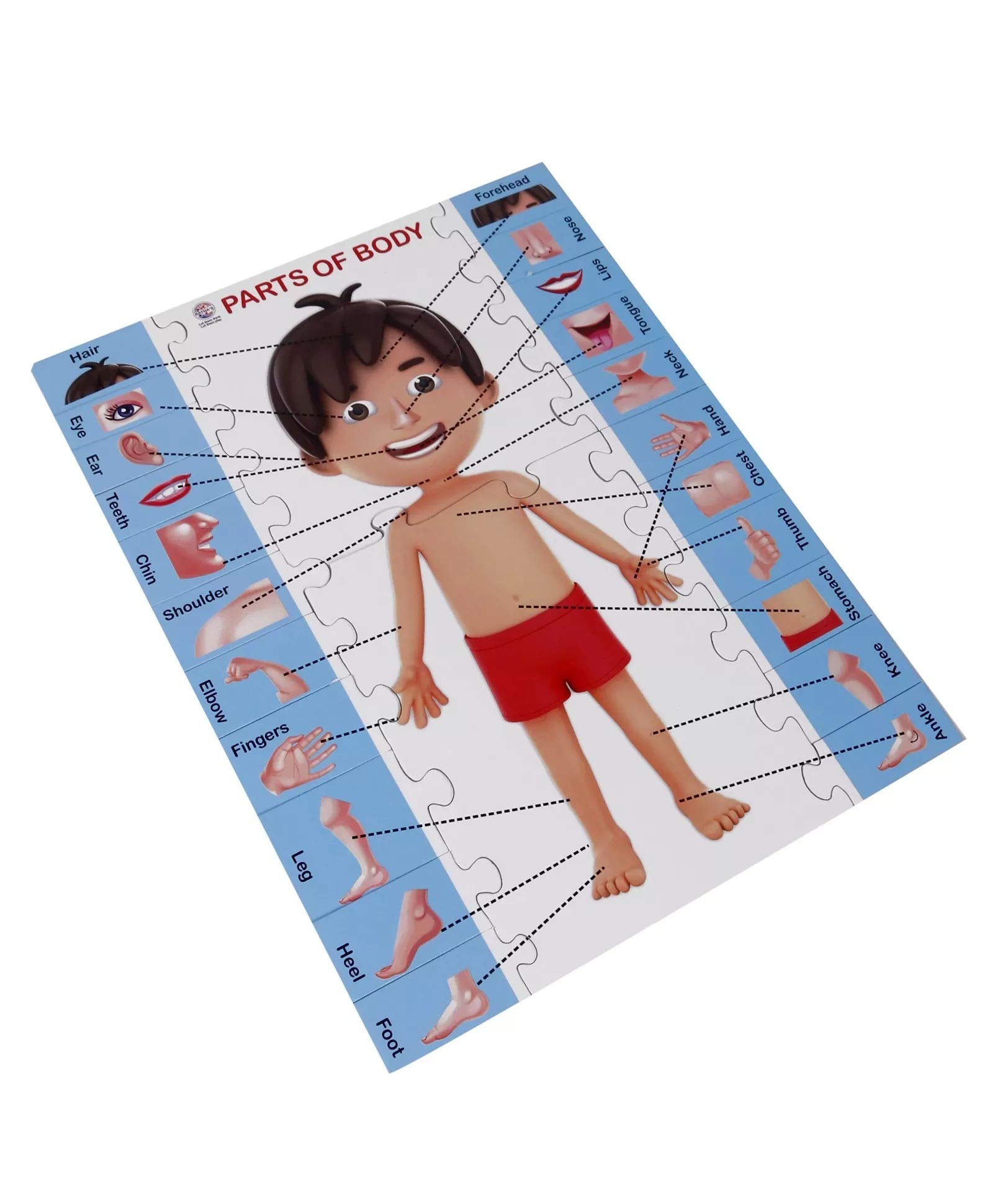 RATNA's 2-in-1 Educational Body Parts Jigsaw Puzzle for Kids with Write & Wipe Board - Learn Human Anatomy Through Play | Perfect for Homeschooling & Preschool Learning Activities