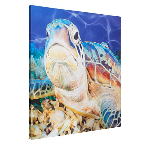 Sea Turtle