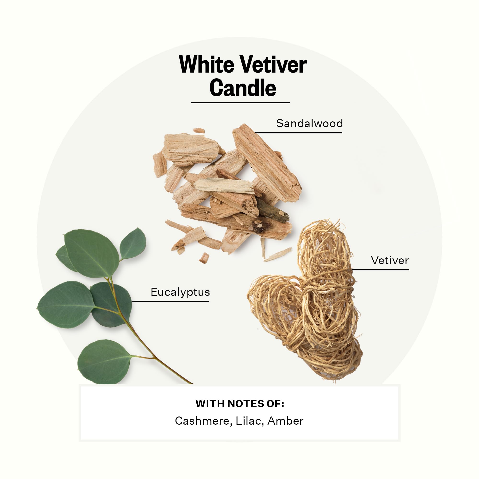 Apotheke 3-Wick Scented Candles - White Vetiver Fragrance, Long-Lasting Aromatherapy for Home, Spa & Relaxation