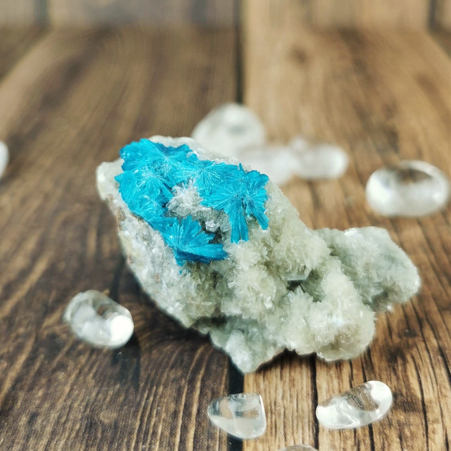 Natural Canvasite Mineral Specimens for Collectors - Perfect for Display, Education & Crystal Healing