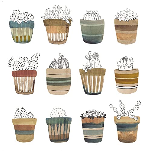 Cactus Collective
