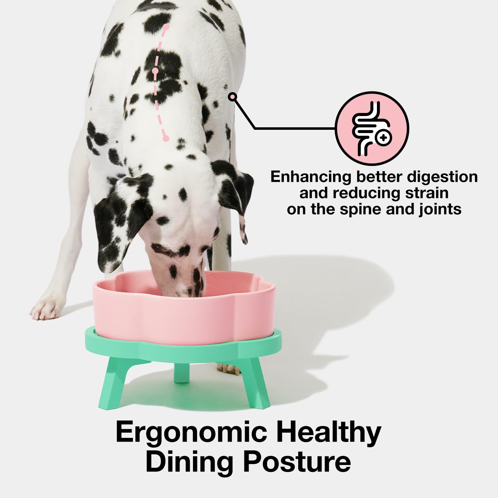 VETRESKA 64oz Ceramic Elevated Dog Bowls with Bamboo Stand - Raised Dog Food & Water Dish for Medium/Large Breeds - Non-Slip Flower Design Pet Feeding Bowls for Dogs & Cats - Perfect for Kitchen, Living Room or Outdoor Use