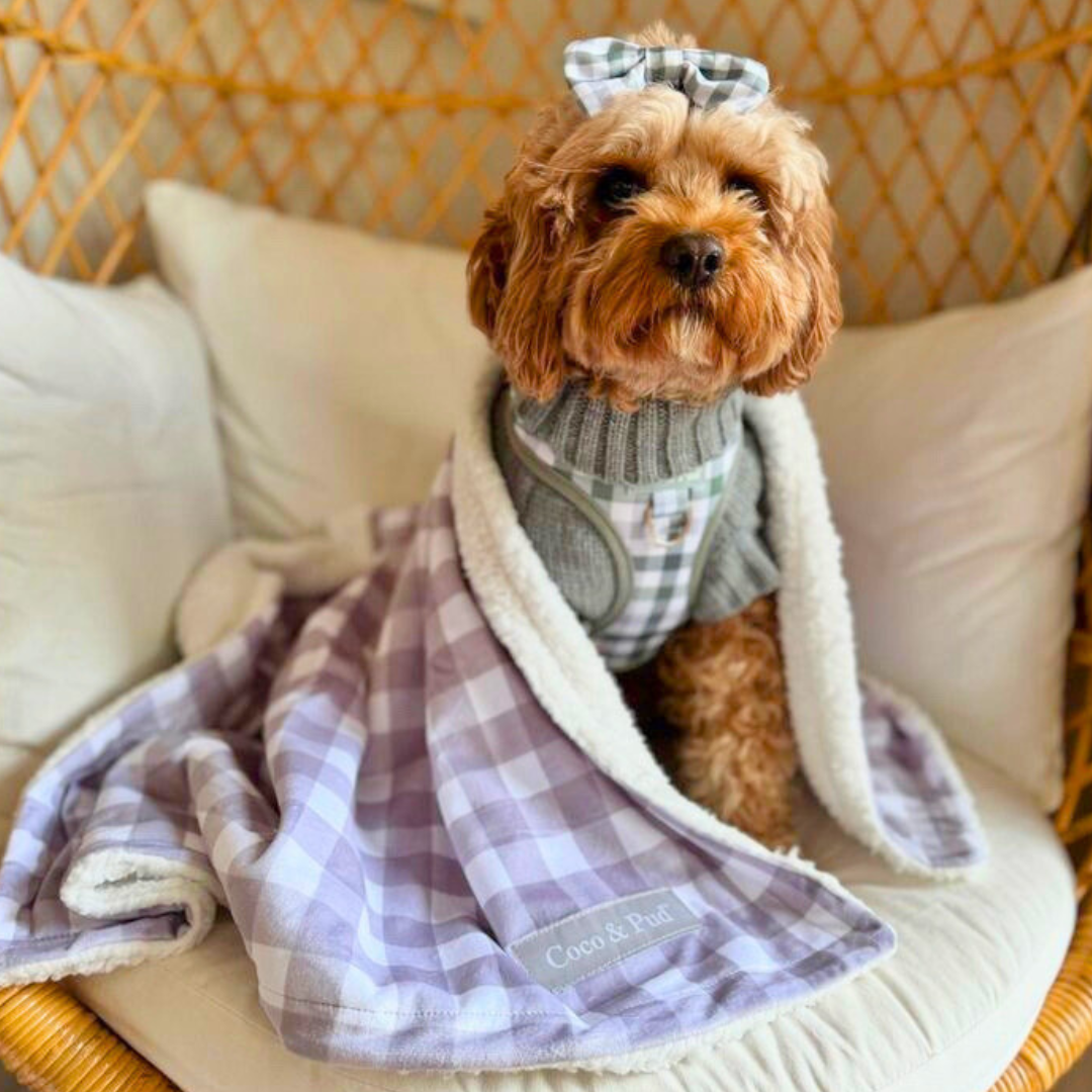 Luxury Gingham Grey Pet Blanket for Dogs & Cats - Soft Cozy Plush Throw - Perfect for Beds, Couches & Travel Use - Coco & Pud