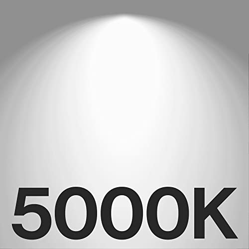 5000k Daylight