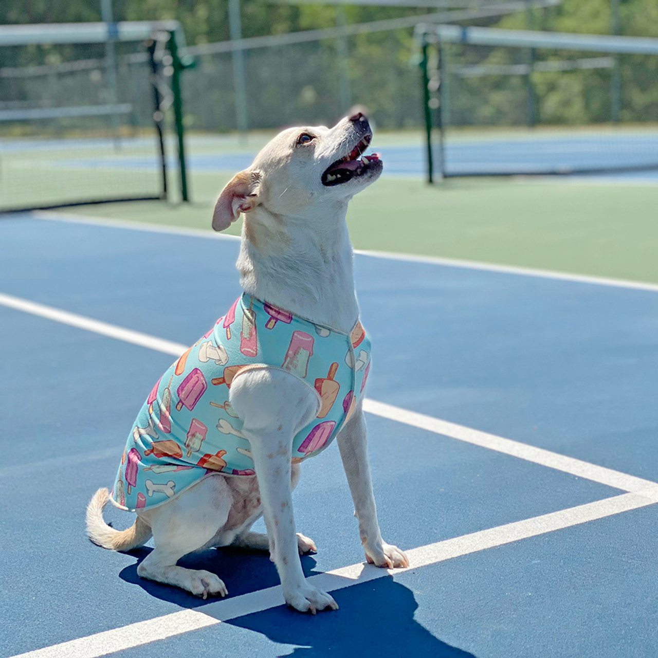 Sun Shield UV Protection Tee Shirts for Dogs and Cats - Breathable Summer Cooling Shirt for Pets, Pupsicle Limited Edition - Perfect for Outdoor Walks, Beach Trips, and Sun Protection