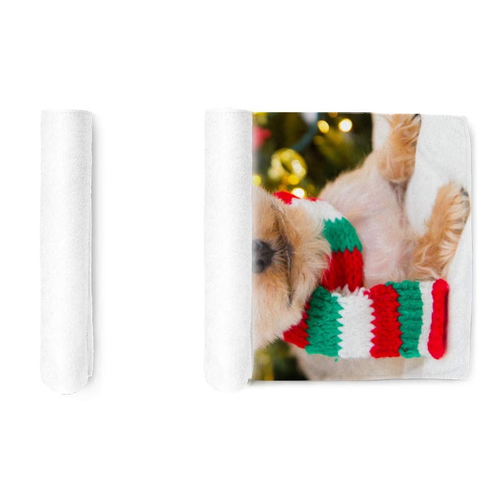 Premium Terry Cotton Face & Hand Towels - Soft, Quick-Dry 30x15 Inch Multi-Purpose Bath Towels for Spa, Hotel & Kitchen Use | Cute Reindeer Hat Design | Ideal for Bathroom Decor, Pet Grooming & Holiday Gifting