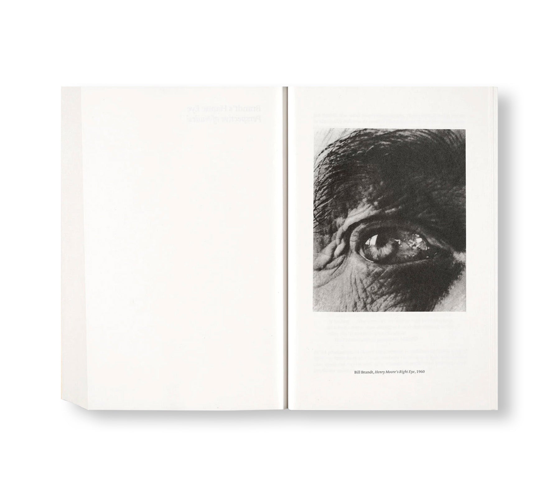 Painting Photography Painting: Selected Essays by Carol Armstrong - Art History Book for Artists, Photographers & Scholars - Perfect for Studio Inspiration & Academic Research