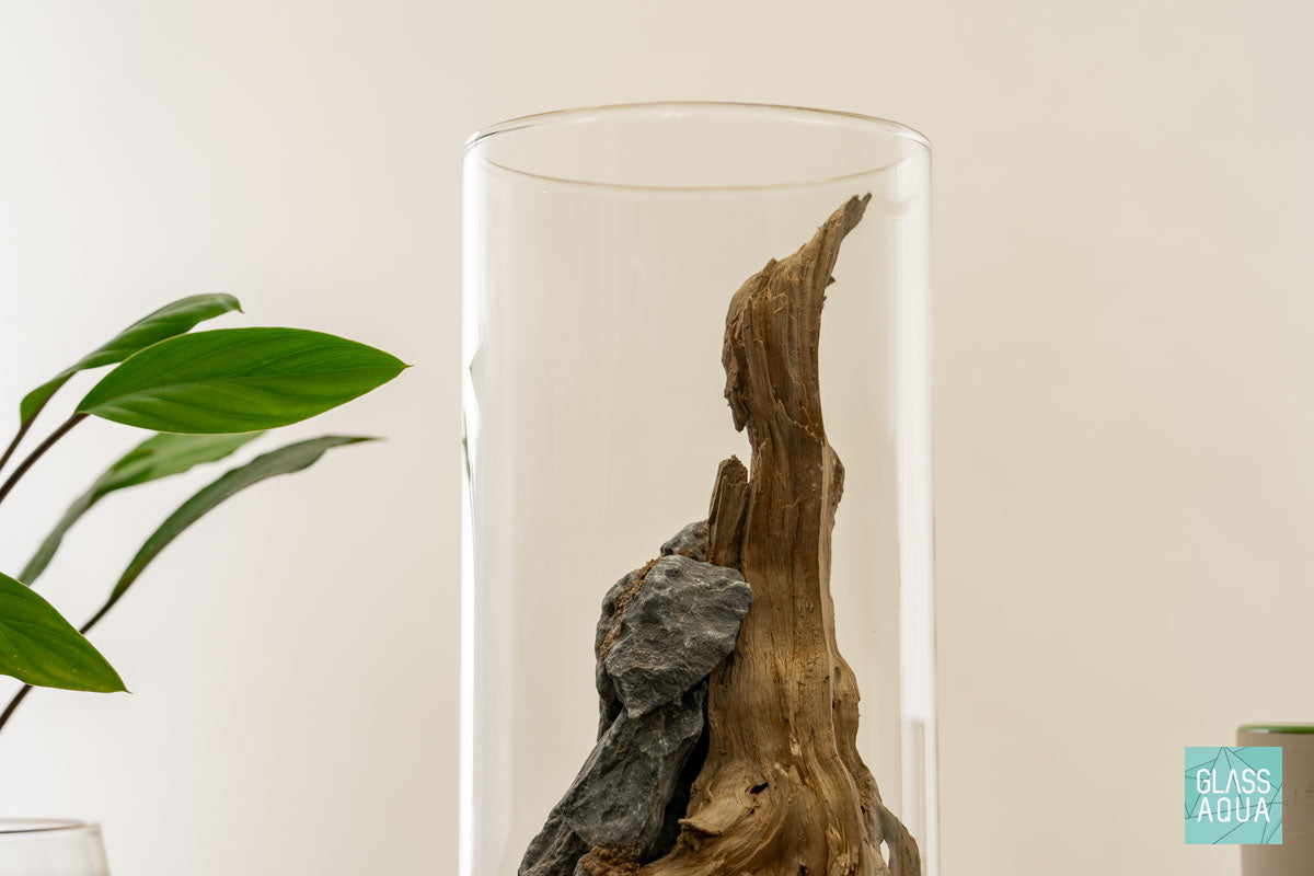 Miniature Terrarium Kit 006 - DIY Glass Garden with Live Plants & Decorative Stones for Home Office Decor | Perfect for Gifts, Desk Decorations & Relaxation Therapy
