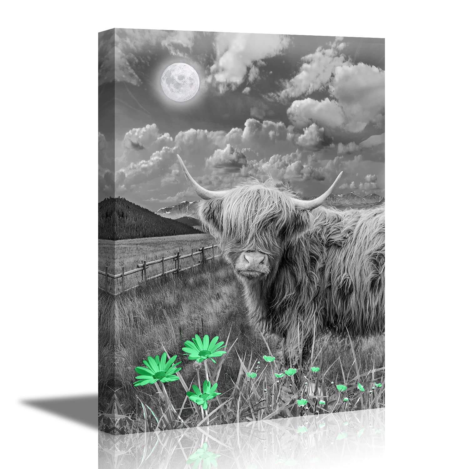 The Highland Cow: A Symbol of Warmth and Comfort in Your Home