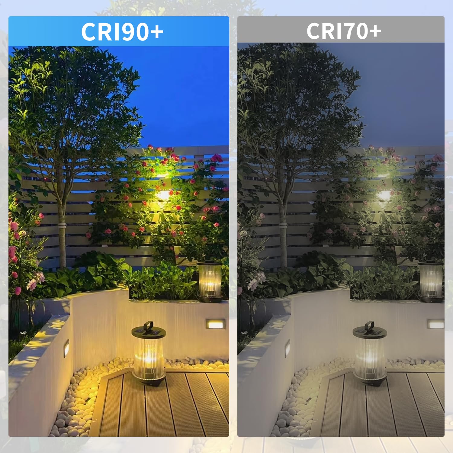 PAR36 LED Landscape Bulb 9W 3000K Warm White, AC/DC12V, 900 Lumens, 60W Halogen Equivalent - Energy Saving Outdoor Lighting for Garden, Pathway, and Patio (2 Pack)
