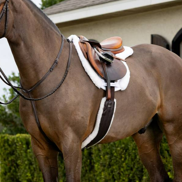Premium LeMieux Merino+ Hunter Saddle Pad - Breathable Wool Blend for Equestrian Riding - Perfect for Show Jumping, Dressage & Horse Training