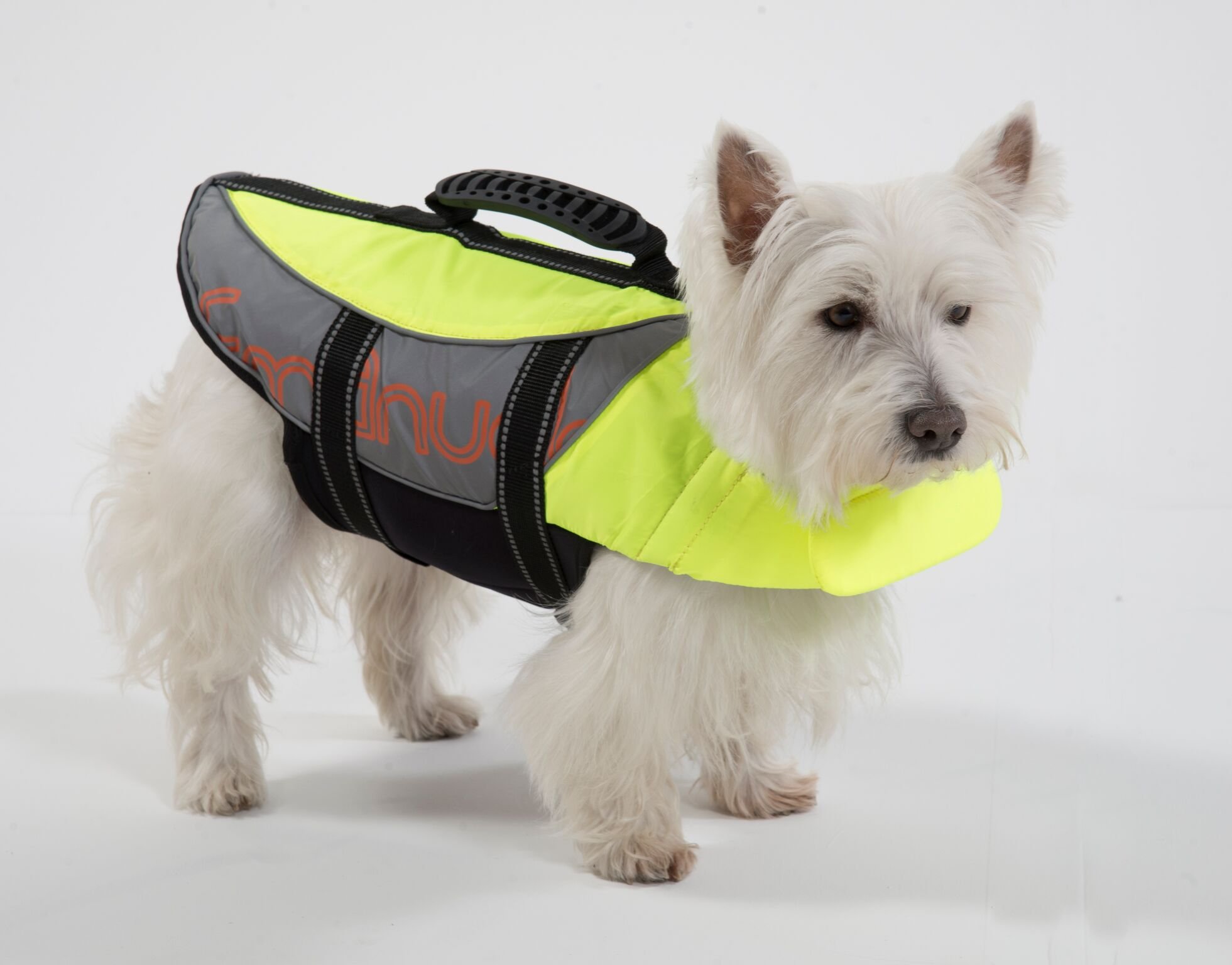 Salty Dog Small Yellow Pet Life Vest - Durable & Safe Dog Life Jacket for Swimming, Boating & Water Activities