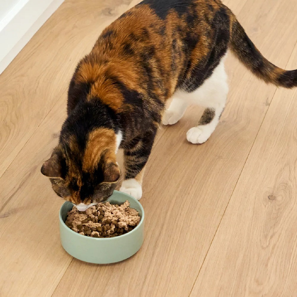 Premium Silky Mousse Salmon Cat Food Topper - Grain-Free, High Protein Wet Cat Treat - Perfect for Picky Eaters & Senior Cats - Enhances Dry Food & Kibble for Mealtime Excitement