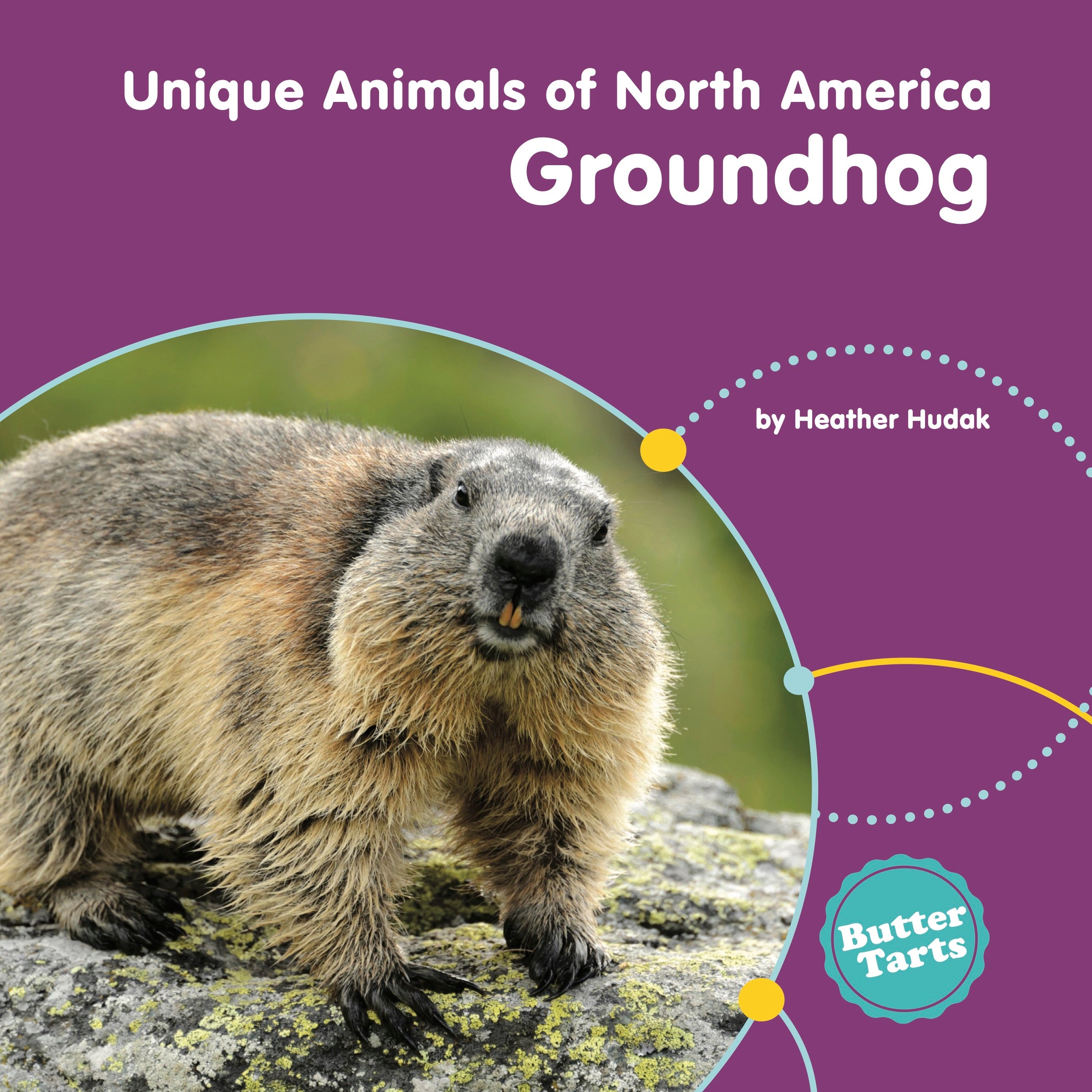 Groundhog Day Book 9781774564899 - Celebrate Groundhog Day with Fun Stories & Activities for Kids & Families