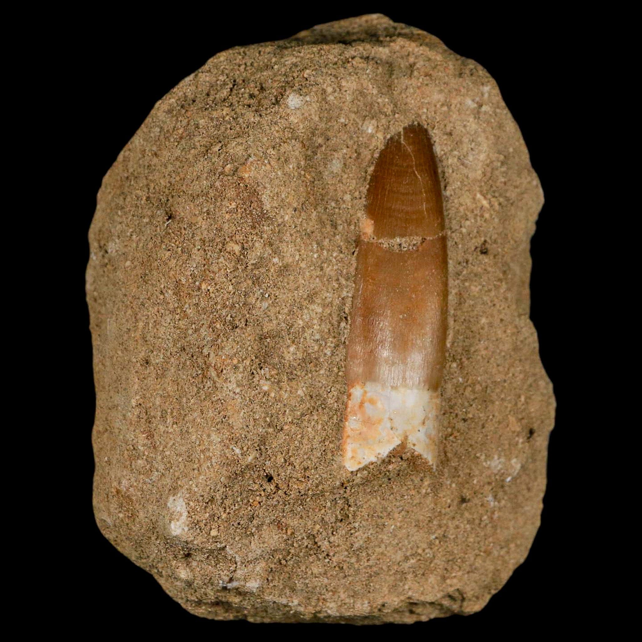 1.9