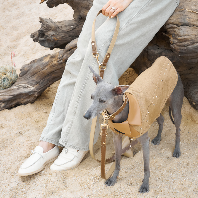 Hands Free Dog Leash - Adjustable Waist Leash for Walking, Running & Hiking - Comfortable No Pull Bungee Lead for Small Medium Large Dogs - Perfect for Outdoor Adventures & Daily Walks