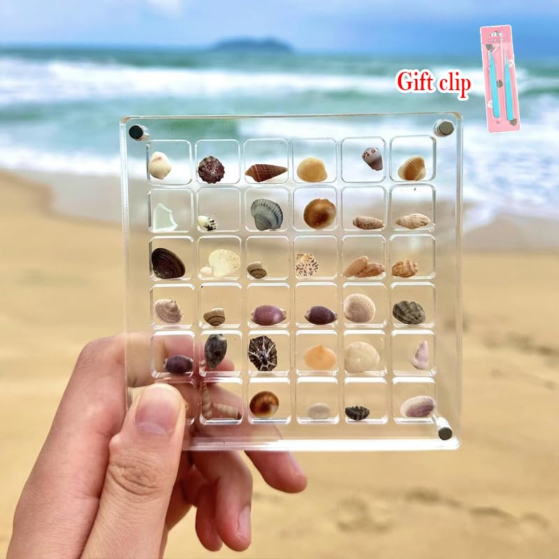 Acrylic Magnetic Seashell Display Box - 36 Grid Transparent Collectible Storage Case for Shells, Starfish & DIY Trinkets | Perfect for Beach Decor, Craft Projects & Home Display