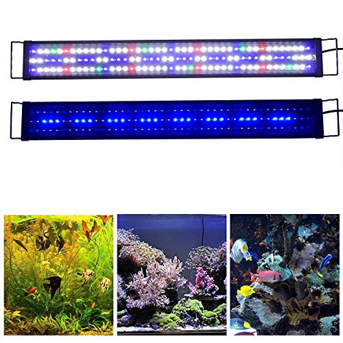 Full Spectrum 36-48 inch
