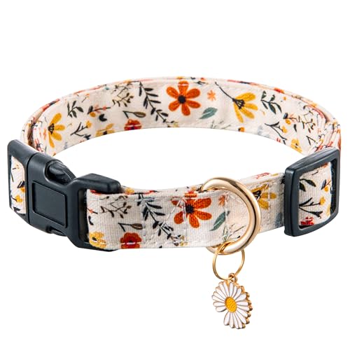 Flower Beige